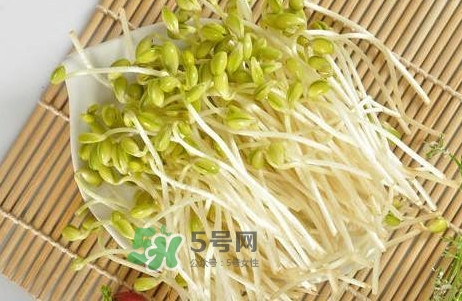 豆芽有根好還是無根好？無根豆芽與有根豆芽區(qū)別