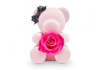 roseonly熊多少錢？roseonly玫瑰熊多少錢？