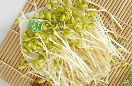 豆芽怎么保存？新鮮豆芽放冰箱能放幾天？