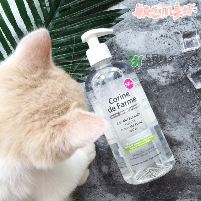 黎之芙潔膚水怎么樣 黎之芙卸妝水好用么 黎之芙潔膚水怎么樣 黎之芙卸妝水好用么