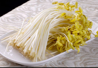 豆芽有綠葉還能吃嗎？豆芽有點爛了還能吃嗎