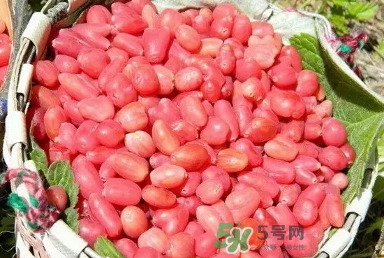 杈杷果多少錢一斤？杈杷果價格表