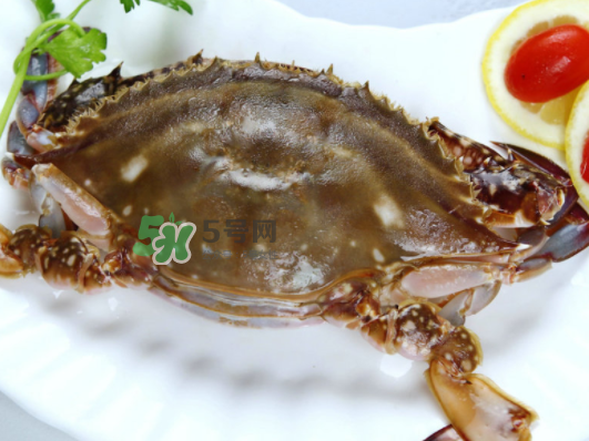 梭子蟹能放多久？梭子蟹能活多久？