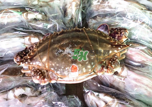 梭子蟹能放多久？梭子蟹能活多久？