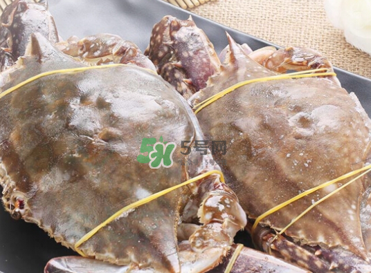 梭子蟹為什么這么貴？梭子蟹和大閘蟹哪個(gè)貴？