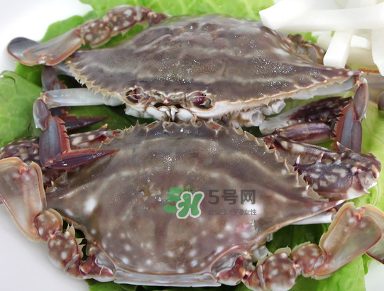 梭子蟹為什么這么貴？梭子蟹和大閘蟹哪個(gè)貴？