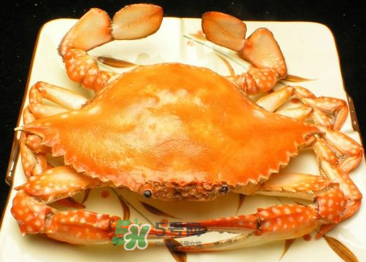 飛蟹什么時候最肥？飛蟹幾月份最肥？