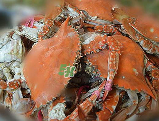 飛蟹不能和什么一起吃？飛蟹和什么不能一起吃？