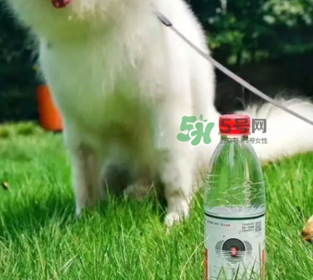 網(wǎng)易云音樂(lè)農(nóng)夫山泉樂(lè)瓶怎么玩？云音樂(lè)農(nóng)夫山泉玩法