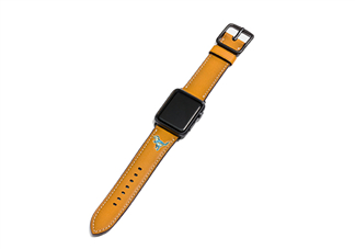 coach apple watch恐龍表帶多少錢？蔻馳蘋果手表恐龍表帶價格