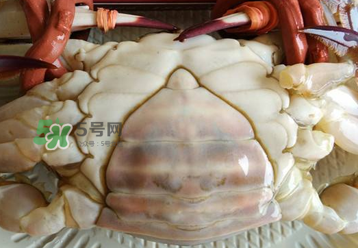 飛蟹多少錢(qián)一斤？飛蟹多少錢(qián)一斤2017？