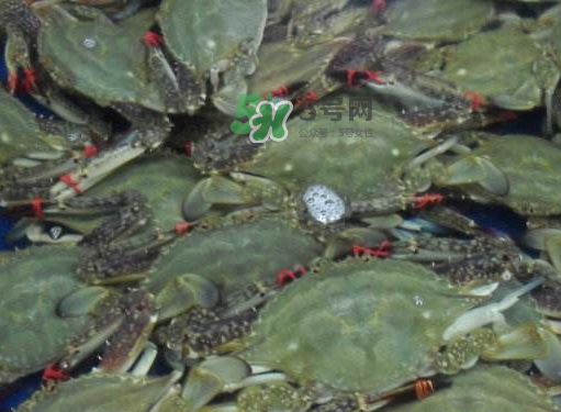 飛蟹可以冷凍嗎？飛蟹能冷凍保存嗎？