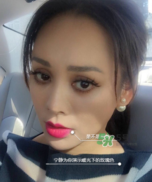 ysl208是什么顏色？ysl208適合黃皮嗎？