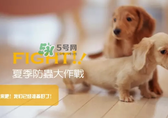 bio kill殺蟲劑怎么用？bio kill殺蟲劑怎么樣？