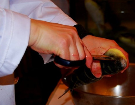 河豚魚怎么吃？河豚魚怎么去毒