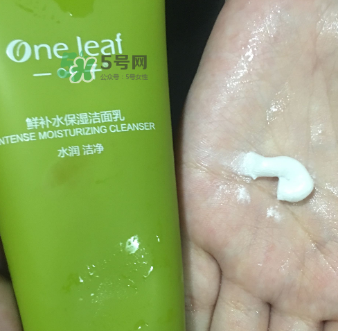 一葉子鮮補(bǔ)水洗面奶怎么樣？一葉子鮮補(bǔ)水潔面乳好用嗎？