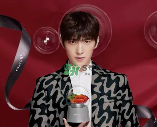 roseonly音樂盒多少錢？roseonly音樂盒歌曲名