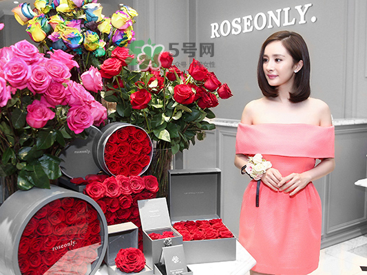 roseonly音樂盒多少錢？roseonly音樂盒歌曲名