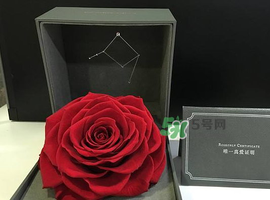 roseonly永生花可以保存多久？roseonly永生花保養(yǎng)