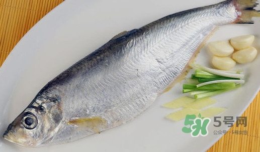 鰣魚和響魚是兩種魚嗎？鰣魚和鯽魚的區(qū)別