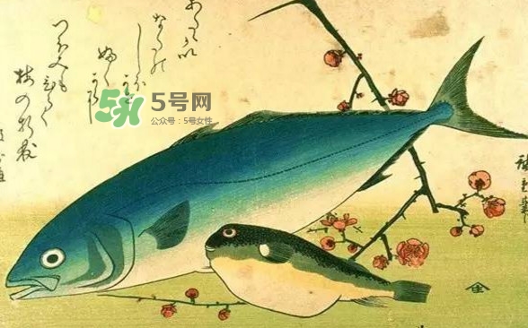 河鲀可以養(yǎng)嗎？河鲀有毒為什么還要吃