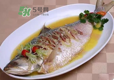 鰣魚(yú)怎么讀？鰣魚(yú)是什么魚(yú)