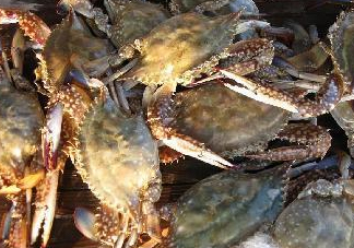 梭子蟹為什么這么貴？梭子蟹和大閘蟹哪個(gè)貴？