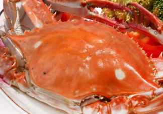 飛蟹不能和什么一起吃？飛蟹和什么不能一起吃？