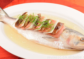 為什么吃清蒸海鰣魚都是半條？鰣魚有什么營(yíng)養(yǎng)價(jià)值