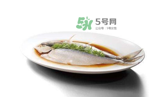 鰣魚刺多嗎？鰣魚可以養(yǎng)殖嗎