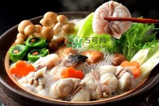 河豚魚多少錢一斤？河豚為什么會鼓起來