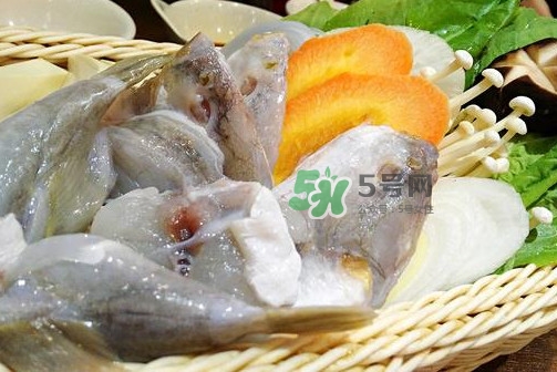 河豚可以當(dāng)寵物養(yǎng)嗎？河豚可以用淡水養(yǎng)嗎