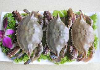 飛蟹可以冷凍嗎？飛蟹能冷凍保存嗎？