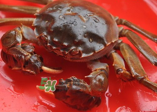 大閘蟹可以帶上高鐵嗎？坐高鐵可以帶大閘蟹嗎？