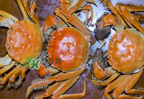 大閘蟹可以帶上高鐵嗎？坐高鐵可以帶大閘蟹嗎？