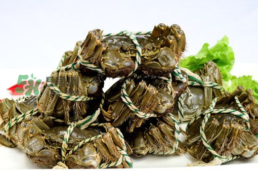 大閘蟹能活多久？大閘蟹可以活多久？