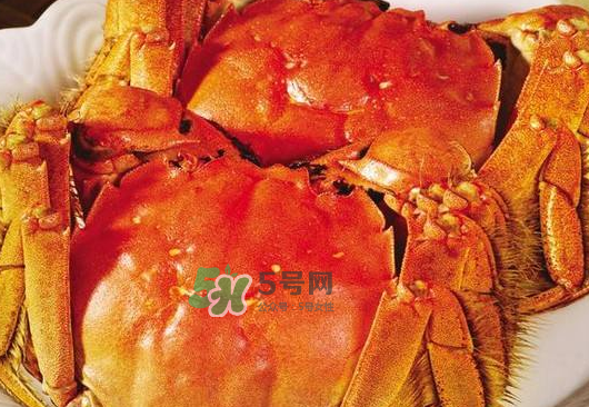 大閘蟹不能和什么一起吃？大閘蟹和什么食物相克？
