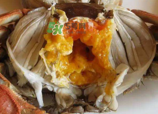 大閘蟹不能和什么一起吃？大閘蟹和什么食物相克？