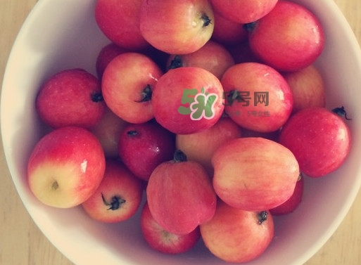 海棠果是涼性的嗎？海棠果是熱性還是涼性