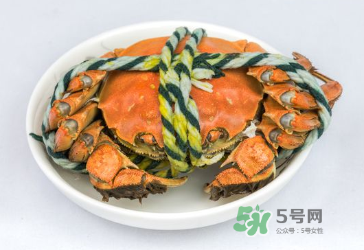 大閘蟹為什么會(huì)苦_大閘蟹發(fā)苦怎么回事_大閘蟹蟹黃苦可以吃嗎 大閘蟹為什么會(huì)苦_大閘蟹發(fā)苦怎么回事_大閘蟹蟹黃苦可以吃嗎