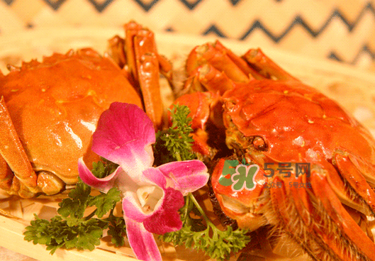 大閘蟹為什么會(huì)苦_大閘蟹發(fā)苦怎么回事_大閘蟹蟹黃苦可以吃嗎 大閘蟹為什么會(huì)苦_大閘蟹發(fā)苦怎么回事_大閘蟹蟹黃苦可以吃嗎