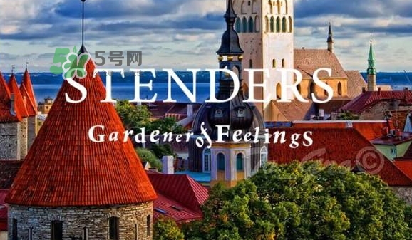 施丹蘭孕婦可以用嗎？stenders施丹蘭懷孕可以用嗎