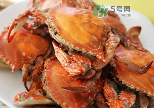 梭子蟹蒸熟后如何保存？梭子蟹煮熟后如何保存？