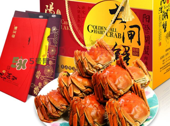 大閘蟹為什么那么貴？青蟹貴還是大閘蟹貴？