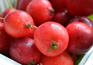 海棠果怎么做罐頭？海棠果怎么做果醬