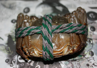 大閘蟹可以帶上高鐵嗎？坐高鐵可以帶大閘蟹嗎？