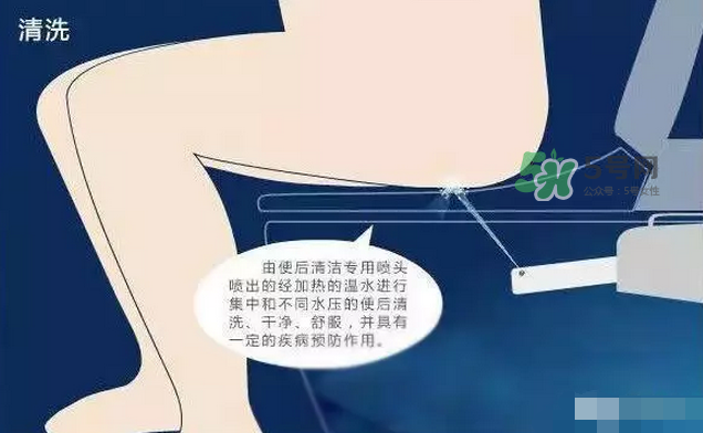 孕期可以蹲著上廁所嗎？孕期上廁所會壓到寶寶嗎？