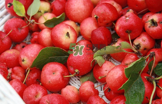 海棠果怎么做罐頭？海棠果怎么做果醬