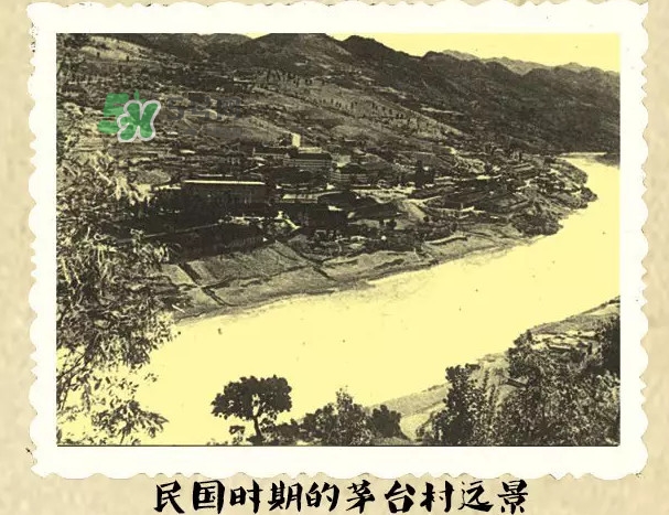 茅臺酒為什么那么貴？茅臺酒為什么這么貴