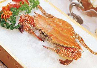 ?花蟹可以放冰箱嗎？花蟹怎么保存才新鮮？